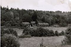 Garden1-1