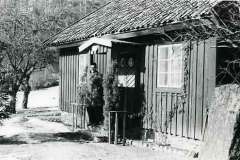 bertilsson4